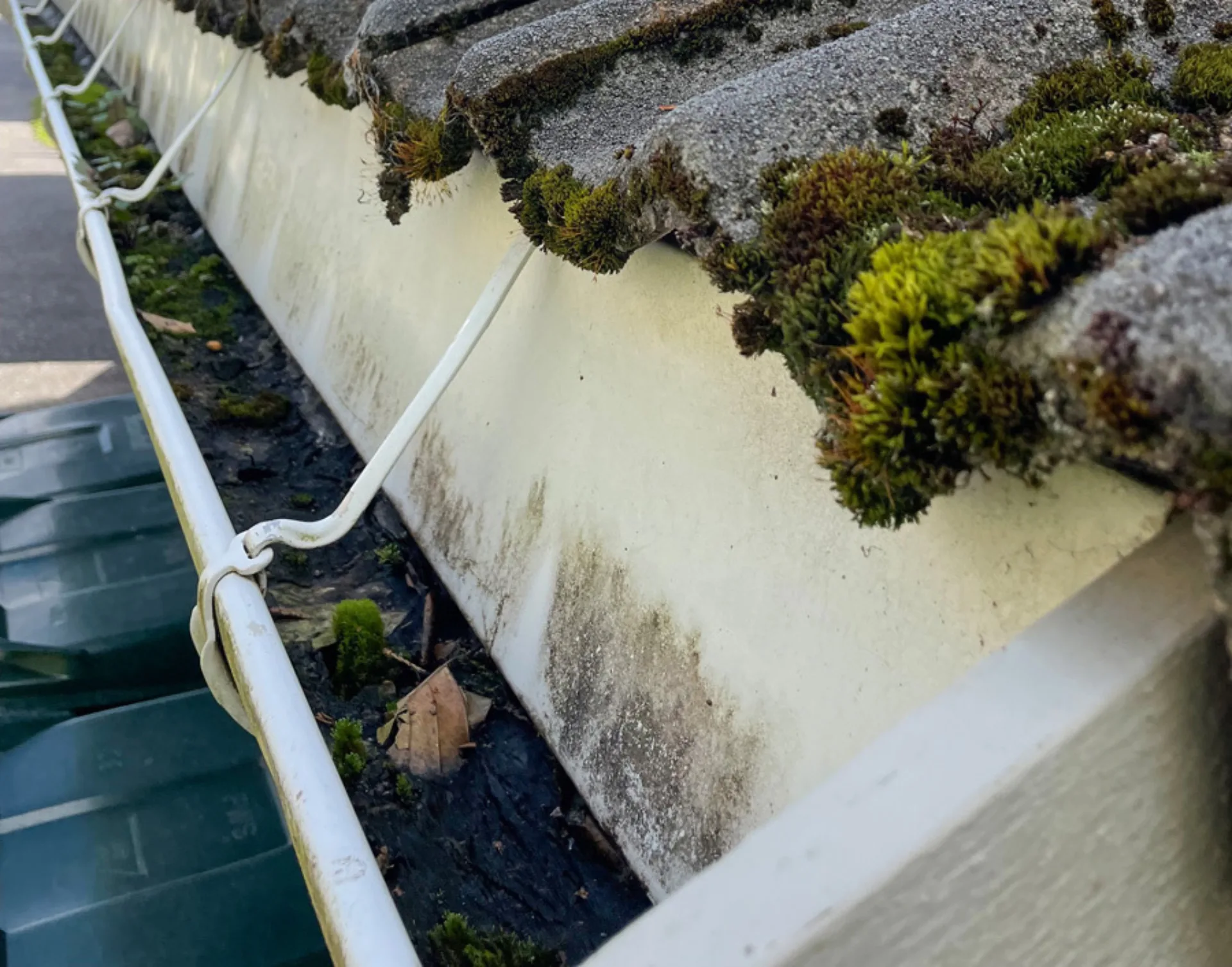 I takrennene samles det både løv og mose.